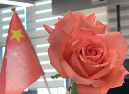 С Женским днем 8 марта